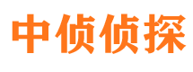 民权市调查公司